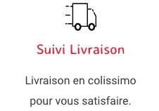 livraison express